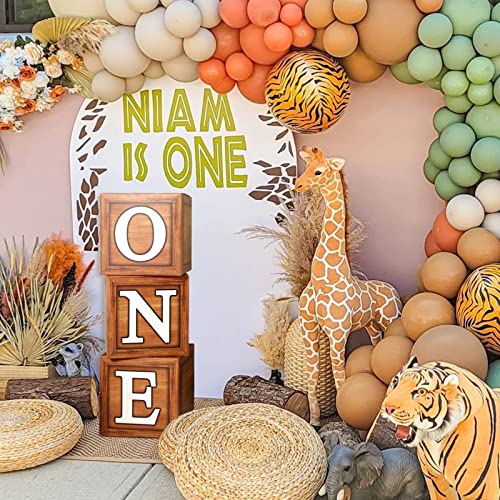 Scatola di palloncini per il primo compleanno per