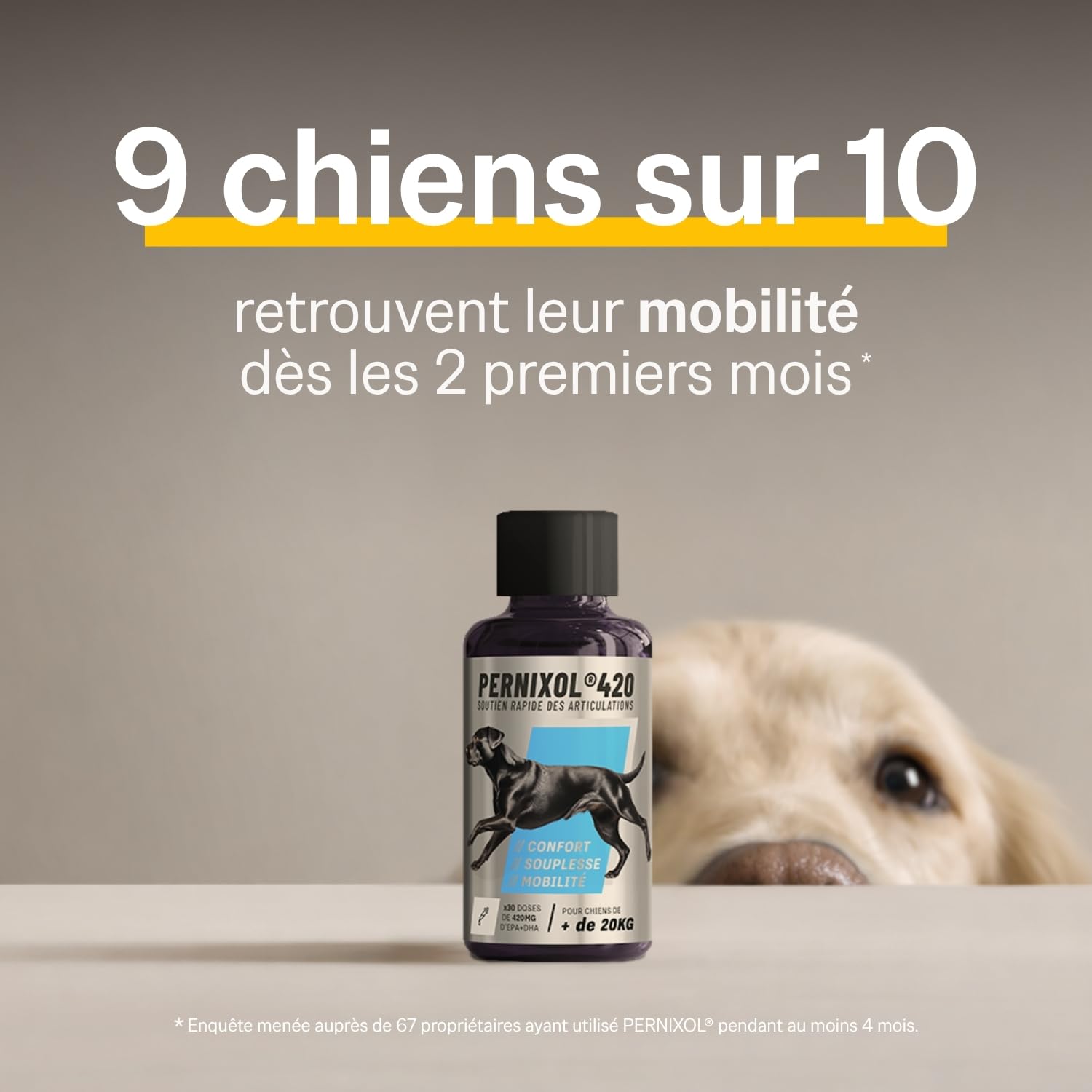 PERNIXOL®420 - Soutien articulaire Chien +20kg - Huile de Moule Verte & Oméga-3 - Mobilité et Confort - Cure 3 Mois (Lot de 3)