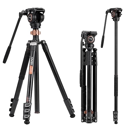 Cayer Fp2450 Fluid Head Tripod, 75 Inches Aluminium Tripod, 4-Section Compact Camera Tripod Convertible To Monopod For Dslr Camera, Load Capacity Up To 13.2 Pounds, Black