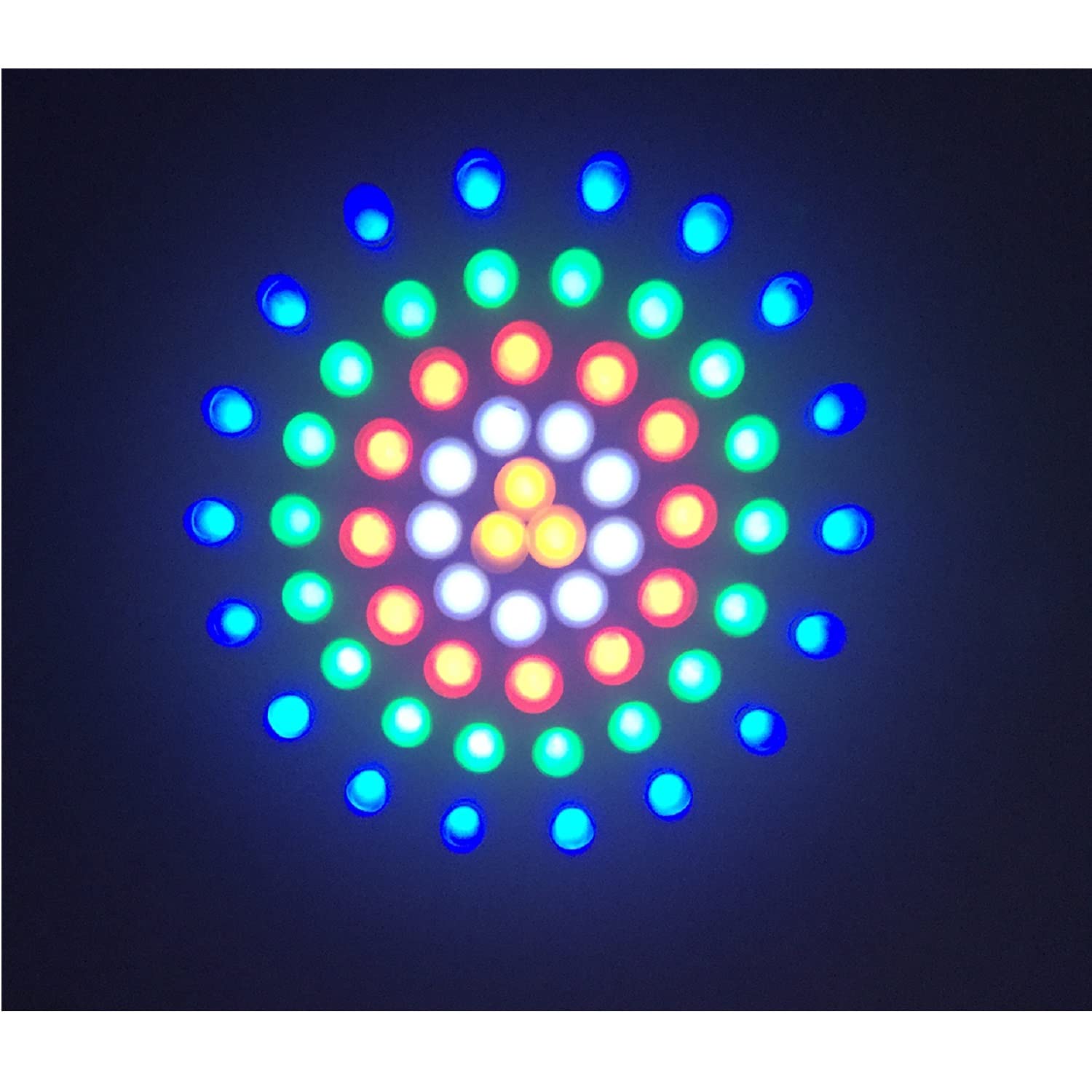 Ibiza - LCM003LED-CLEAR-BAT