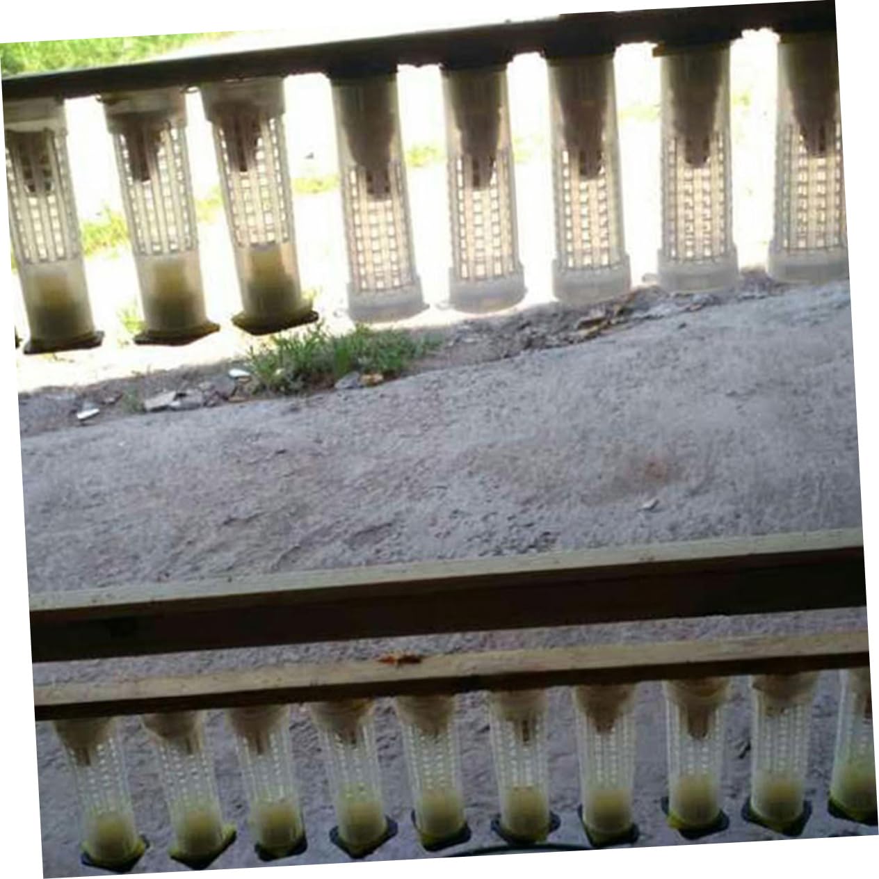 Garneck 4 Set Copertura Per Allevamento Api Protezione Bee Cage Con Design Ventilato Attrezzatura Per Apicoltura E Facile Da Utilizzare Per Apicoltori E Allevamento Delle Api 40 Pezzi * 4