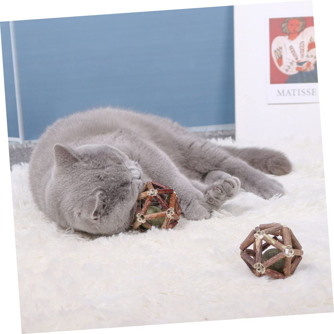 Supvox 12stücke Katzenminze Für Katzen Natürliche Kaubälle Aus Actinidia Polygama Zur Zahnpflege Und Verbesserung Der Verdauung Spielzeug Für Neugierige Kätzchen