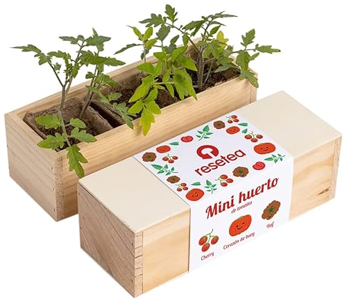 Resetea | Kit Autocultivo | Mini huerto de tomates | Cherry, corazón de buey y raf Cover