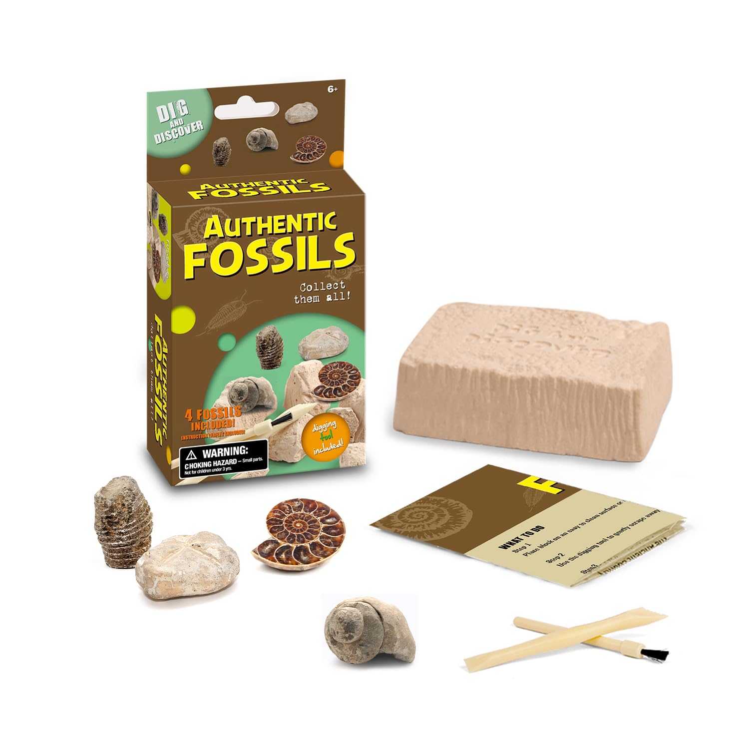 EDUMAN Mini Kit Fósil Sorpresa – Excava 4 Fósiles Aleatorios de 16 Tipos con Cincel & Cepillo | Juguete Educativo Stem para Niños 6+