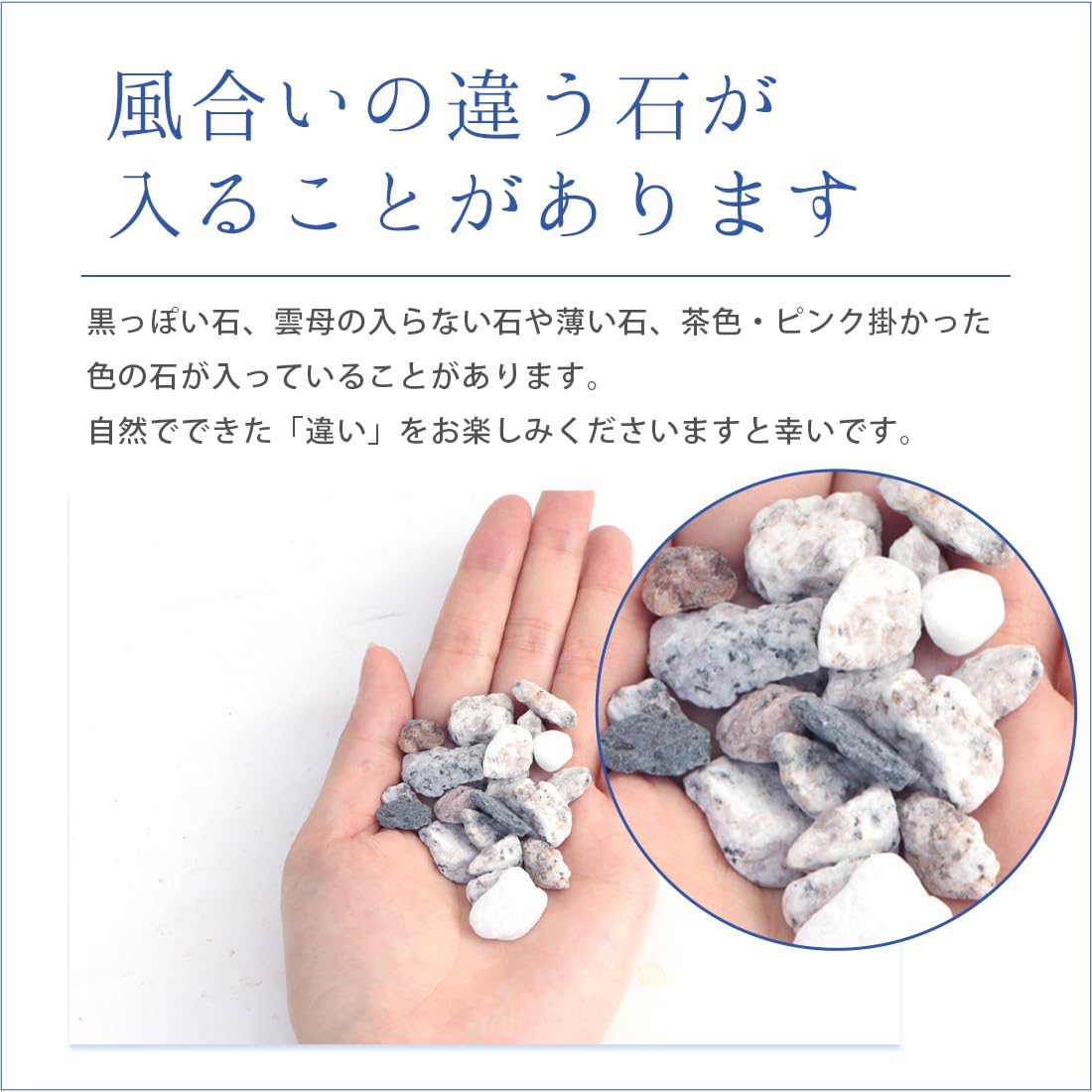 三色飯しあがれ Vol.2 2000年 白石家編 炊くんの生きのびごはん 2 (集英社ホームコミックス) | よしたに |本