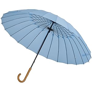 Amazon | ジブリ美術館限定 フレスコ画 傘[となりのトトロ] | 長