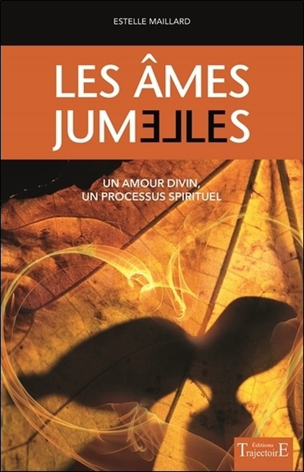 Les Ames Jumelles Un Amour Divin Un Processus Spirituel