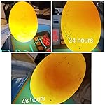 Review Image by Ashley Ashley