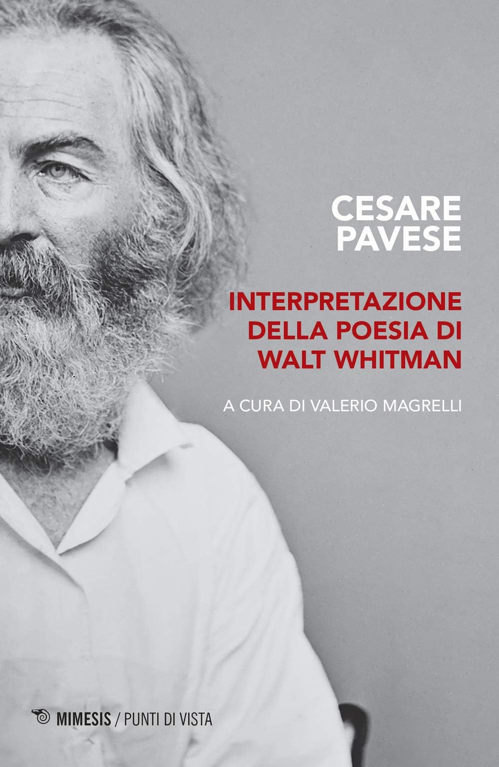 Interpretazione della poesia di Walt Whitman (Punti di vista)