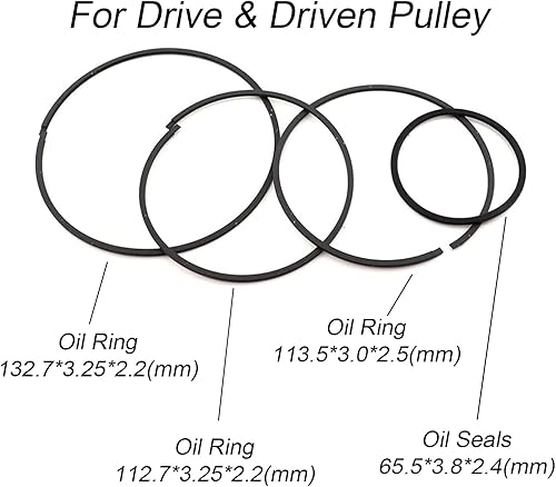 Miniatura 2 de TRANSPEED JF015E RE0F11A CVT Kits de juntas tóricas de goma de transmisión, kit surtido compatible con Nissan Sentra SUNNY SUZUKI MITSUBISHI SAMSUNG