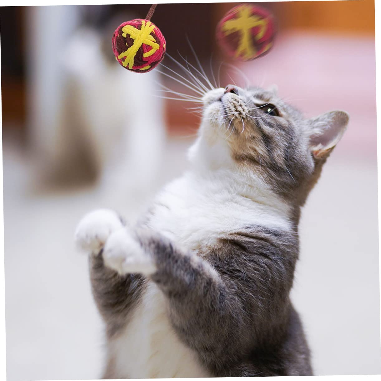 VANZACK 25stücke Katzenbälle Mit Interaktive Spielzeuge Für Katzen Lustige Kratzspielzeuge Beschäftigung Von Kätzchen Gemischte Designs