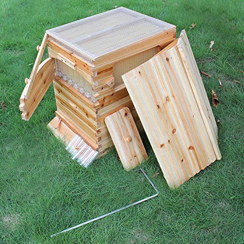 Golden Palace Bee Hive, Beehive with 7pcs Auto Super Frames, Bee House with 1pcs Super Boxes, 1pcs Brood Boxes(No Brood Frames), Bee Hives Starter Beekeeping Kits