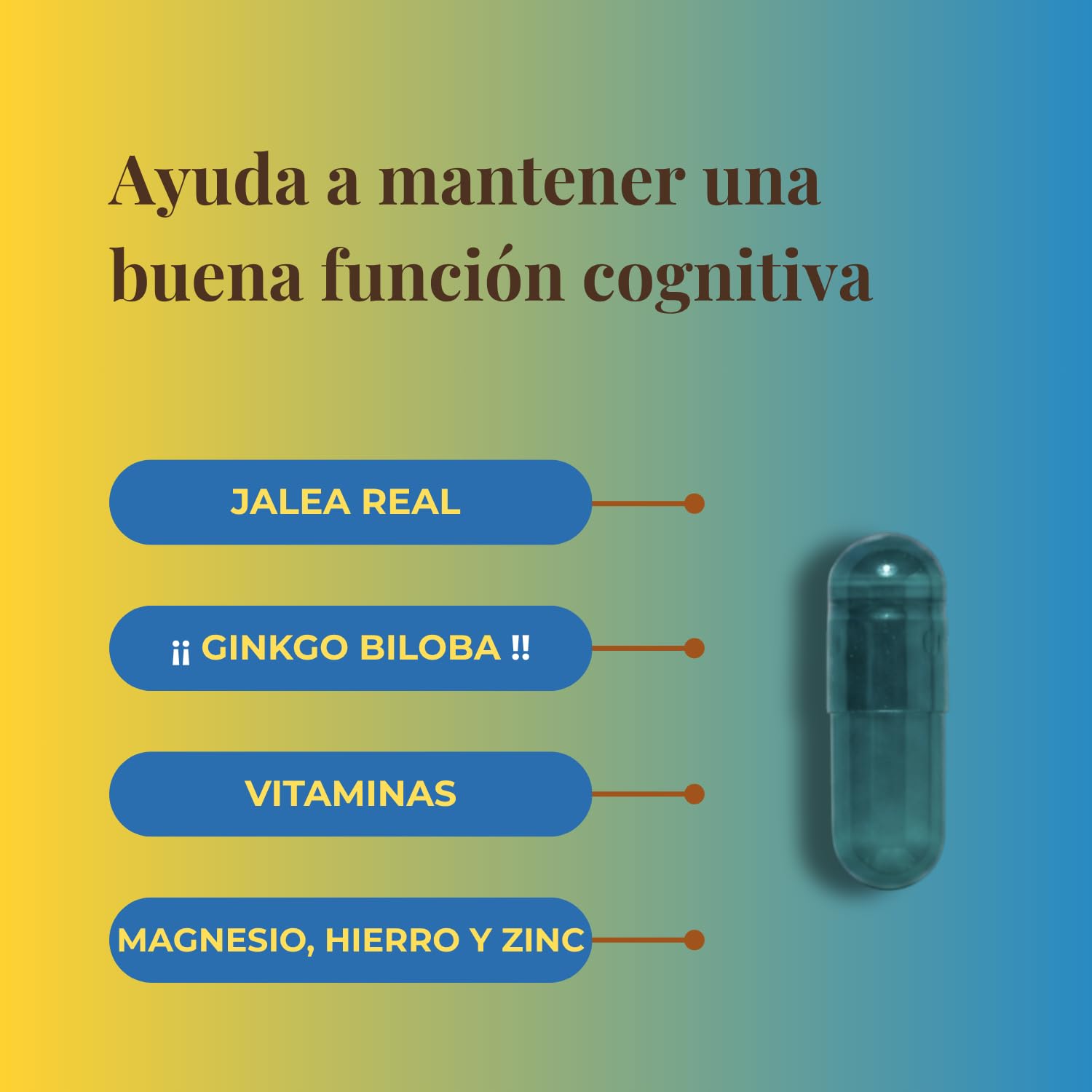 Pack Vitalidad Senior - Revital Vitaminado + Revital Senior 30 Cápsulas - Ayuda a Mejorar el Rendimiento Cognitivo y a Disminuir el Cansancio y la Fatiga - con Jalea Real, Ginkgo Biloba y Vitaminas