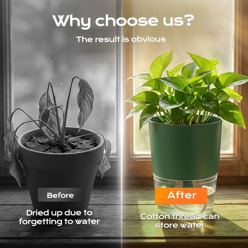 Self Watering Planter Pots, 6 Inch Self Watering Pots for Indoor Plants with Wick Rope, Plastic Flower Planters with Drainage Holes & Clear Reservoirs & Visible Water Level (White- 3 Pack)