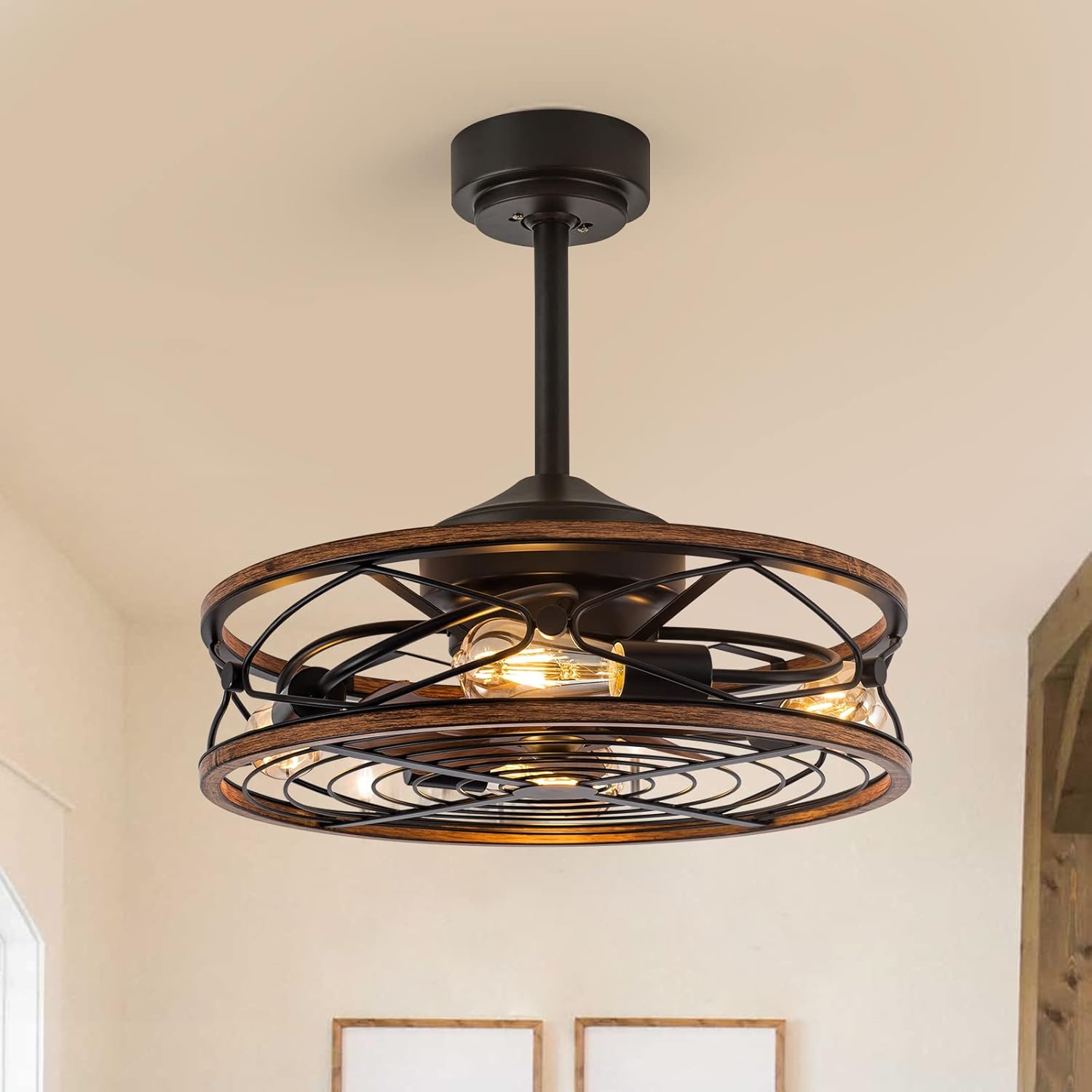 TIFEROR Caged Ceiling Fan With Light, 20 in Bladeless Remote Control, 3