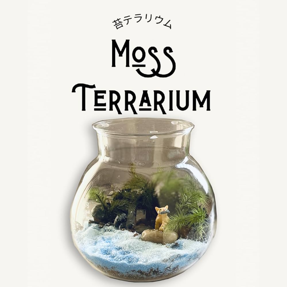 Amazon.co.jp: 苔テラリウムキット 苔がよく育つ卓上コケテラリウム