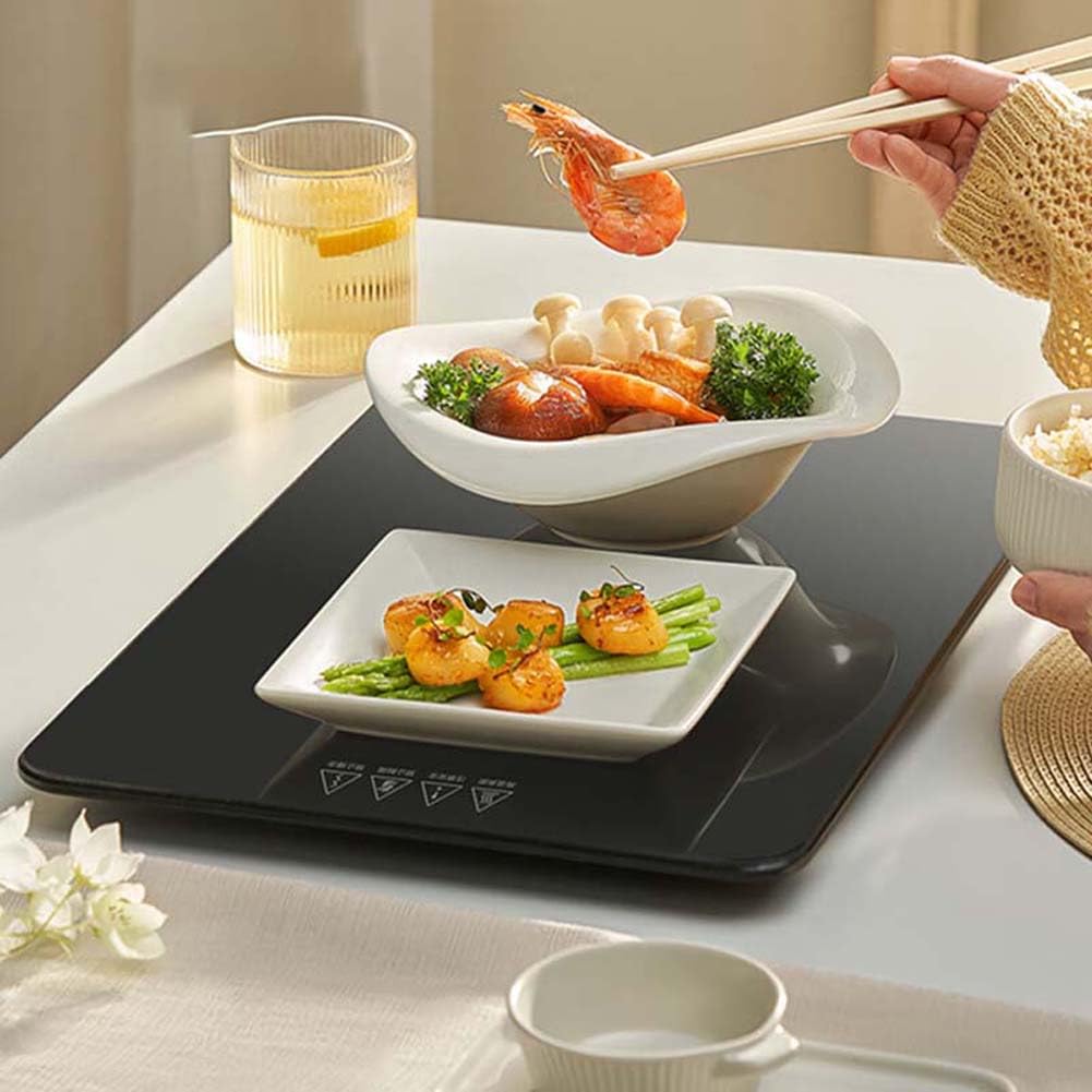 FYRTA Bandeja de calentamiento eléctrico, servidor buffet portátil caliente, con control de temperatura 2 (90 °C/120 °C) perfecto para buffets, restaurantes, eventos y cenas caseras mantienen