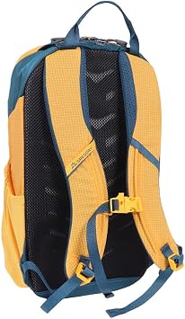Gregory Wander 12L Youth Hiking Backpack, One Size Fits All, Aqua Yellow