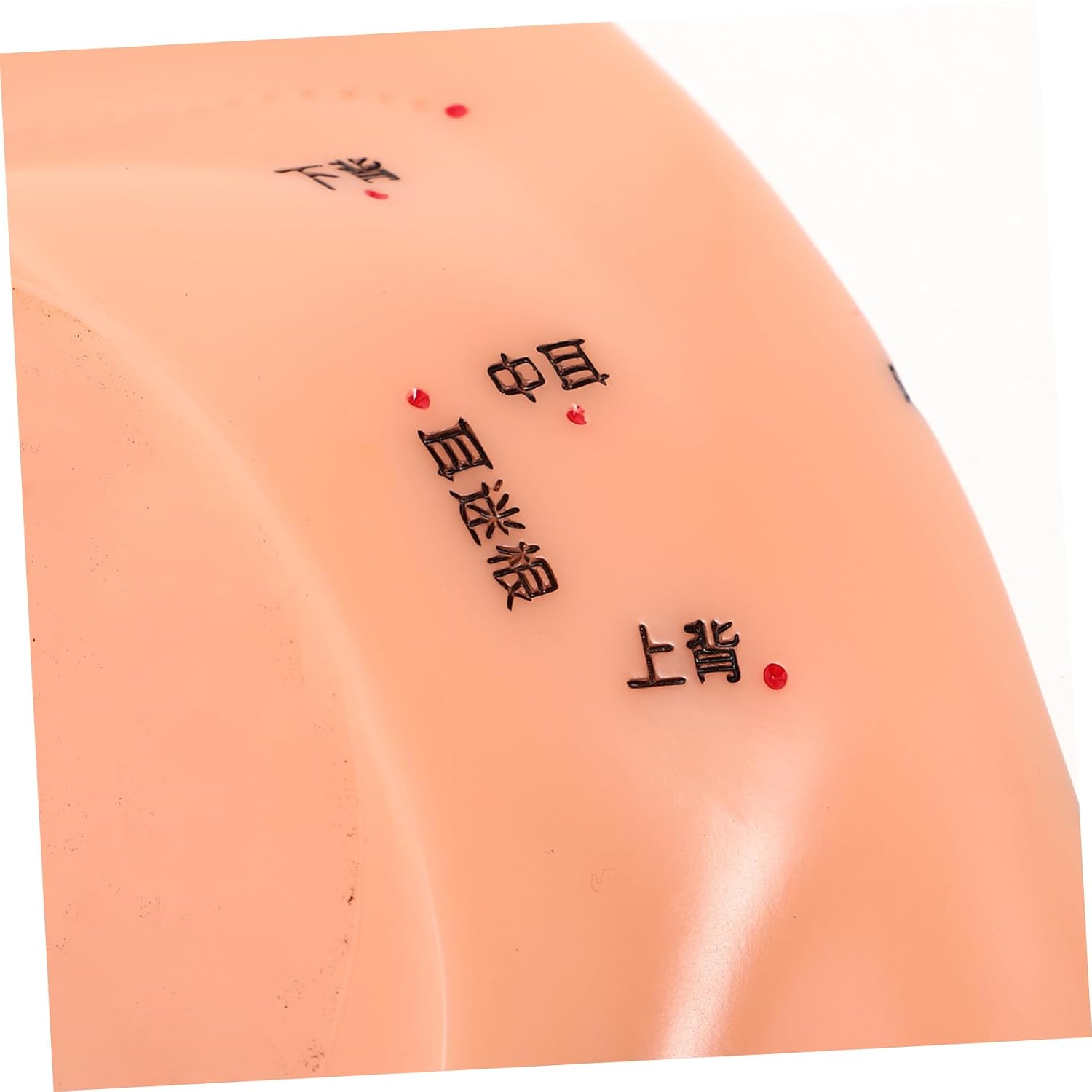 Traditional Chinese Acupoint Design Ear Model Portable Ear Acupuncture Patch Realistic Simulation Tool for Nursing Study