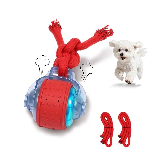 Mdupw Interactive Dog Toy, Electric Dog Toy with Random Movement Trajectory and Rope Design, Rechargeable Dog Ball Suitable for Puppy