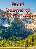 Saint Gabriel of the Sorrows