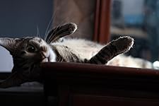 Review Image by Rockyb Rockyb