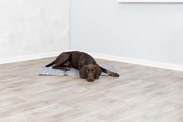 Foto 5 de 6 de Suave Alfombrilla refrescante, XL: 90 × 60 cm, Gri
