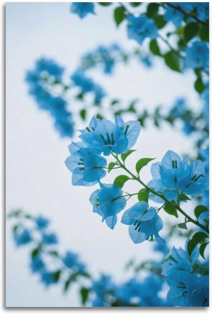 Blue Bougainvillea Flowers Close Up Wall Art, Fresh Floral Decor For Home And Bedroom Artistic Wall Mural Modern Hanging Decor Poster12x18inch(30x45cm)