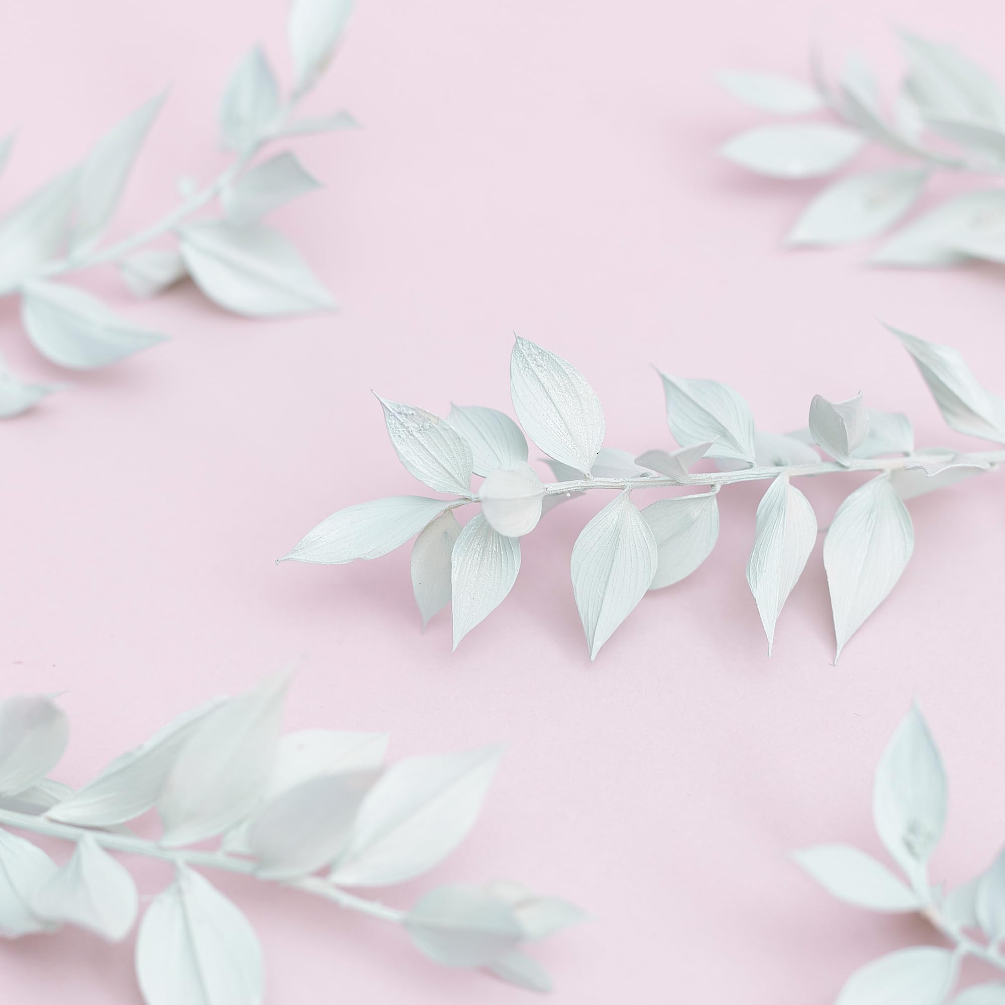 The Baked Studio - Original Dried Flower Ruscus Set For Cake & Cupcake Decorating & Others Crafts (Light Green) - Image 3