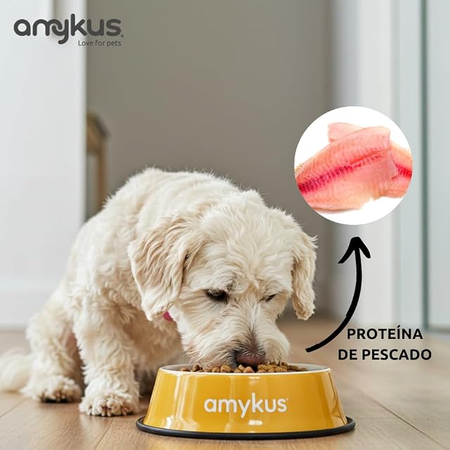 Foto 4 de 5 de Amykus Original Mini Fish 3 kg - Pienso para Perros Adultos Razas Pequeñas con Pescado