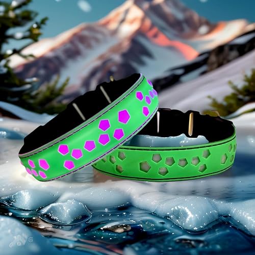 DOGLED Collar subversivo para perro con luz LED USB-C, diseño subversivo de Navidad 3D, material cómodo y suave, iluminación multicolor (M (15.7 a
