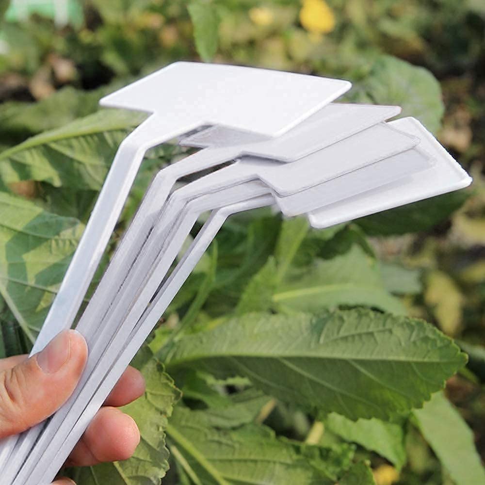 KINGLAKE GARDEN Plastikowe etykiety do roślin na zewnątrz, 30 sztuk, wodoodporne, trwałe markery ogrodowe do przedszkola, markery do roślin, ziół, kwiatów, warzyw, na zewnątrz i do pomieszczeń