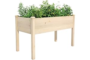 Raised Garden Bed for Flourishing Vegetables, Flowers, and Herbs
