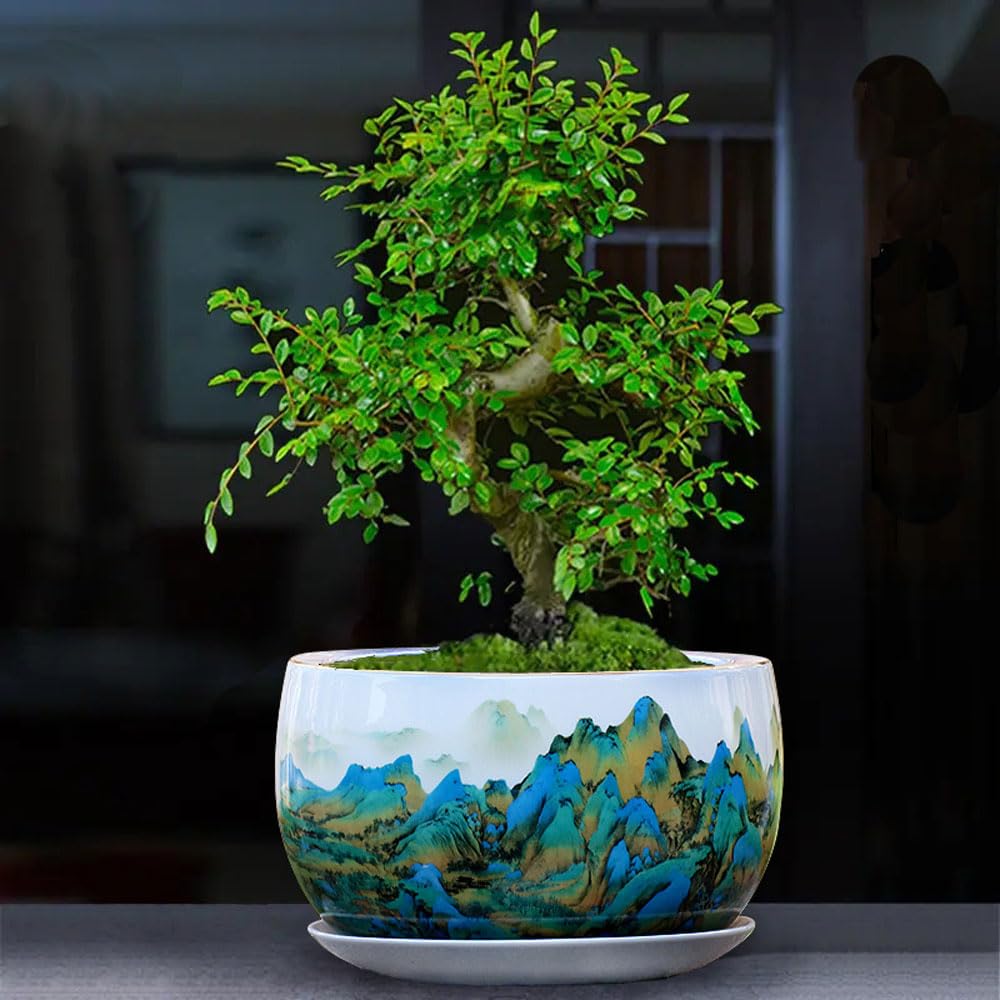 DFGHNBVC Ceramic Planter Ceramic Flower Pot Set Porcelain Bonsai Pot Large Orchid Planter With Drainage Hole And Saucer Tray For Indoor Outdoor Garden Indoor Planters,Blue