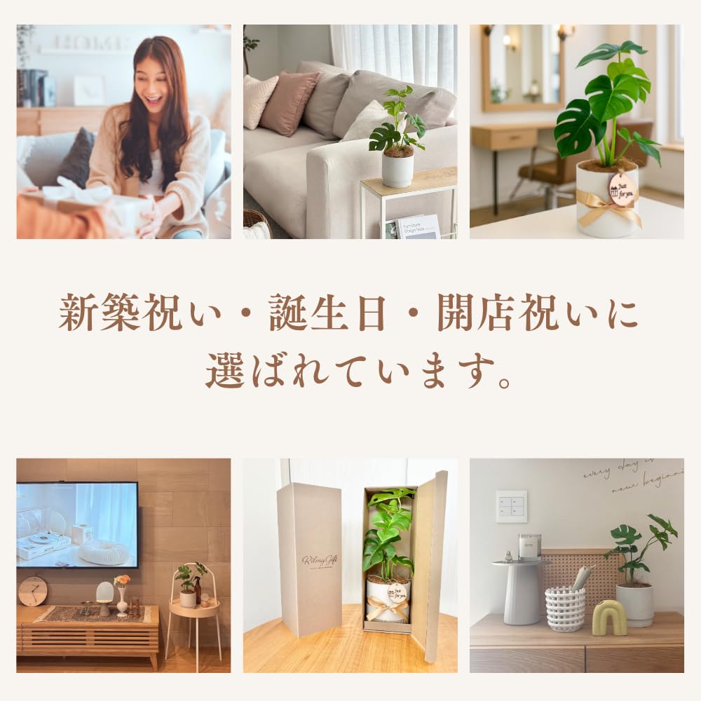 Amazon｜Rilmy（リルミー）観葉植物 フェイクグリーン 卓上 ギフト