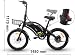 DYU Bicicletta Elettrica,20 pollici Bici Elettrica Pieghevole con LCD Display,36V 10Ah Intelligente...