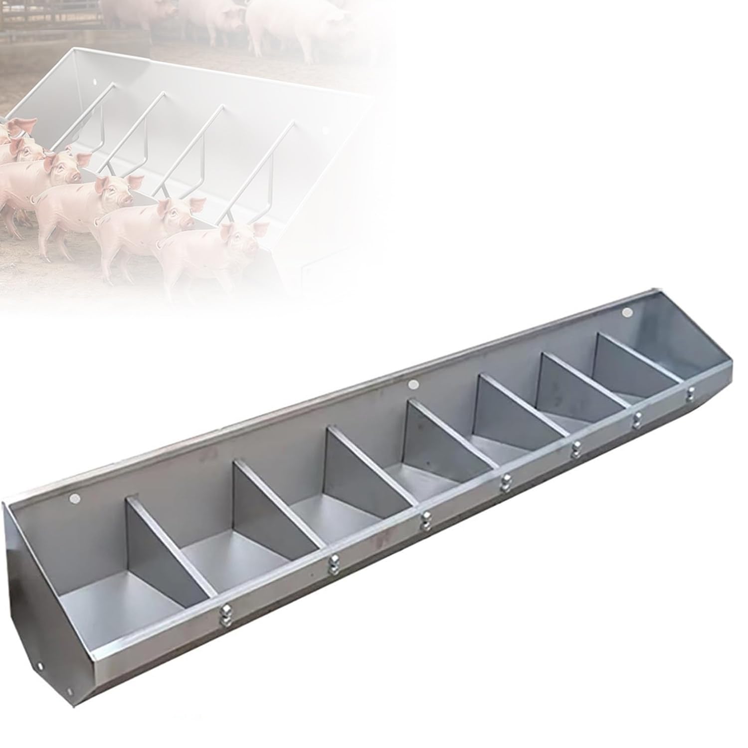 Mangeoire à bétail pour chèvres et cochons dans l'enclos extérieur