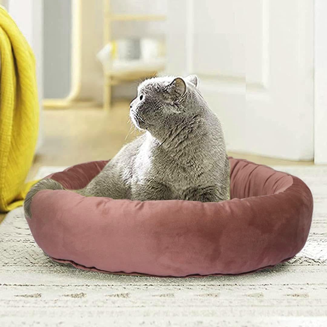 Cutepups (XXXL Size,Brown Color Round Shapes and Reversible Soft Velvet Dog Bed for Sleeping and Non-Slip Bottom Pet Bed for Dog (B0CWDP8WXJ) Amazon Price History, Amazon Price Tracker