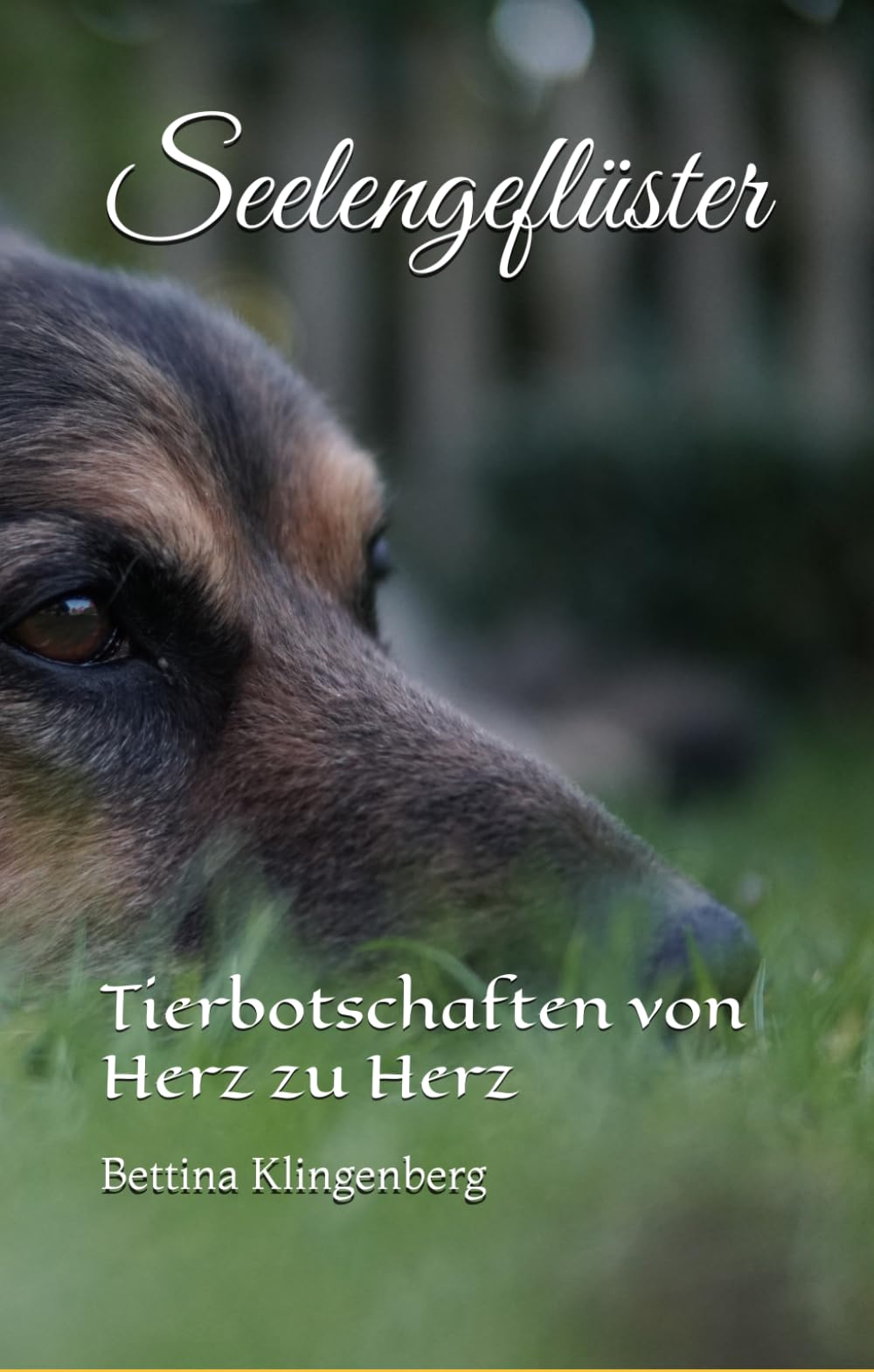Seelengeflüster: Tierbotschaften von Herz zu Herz