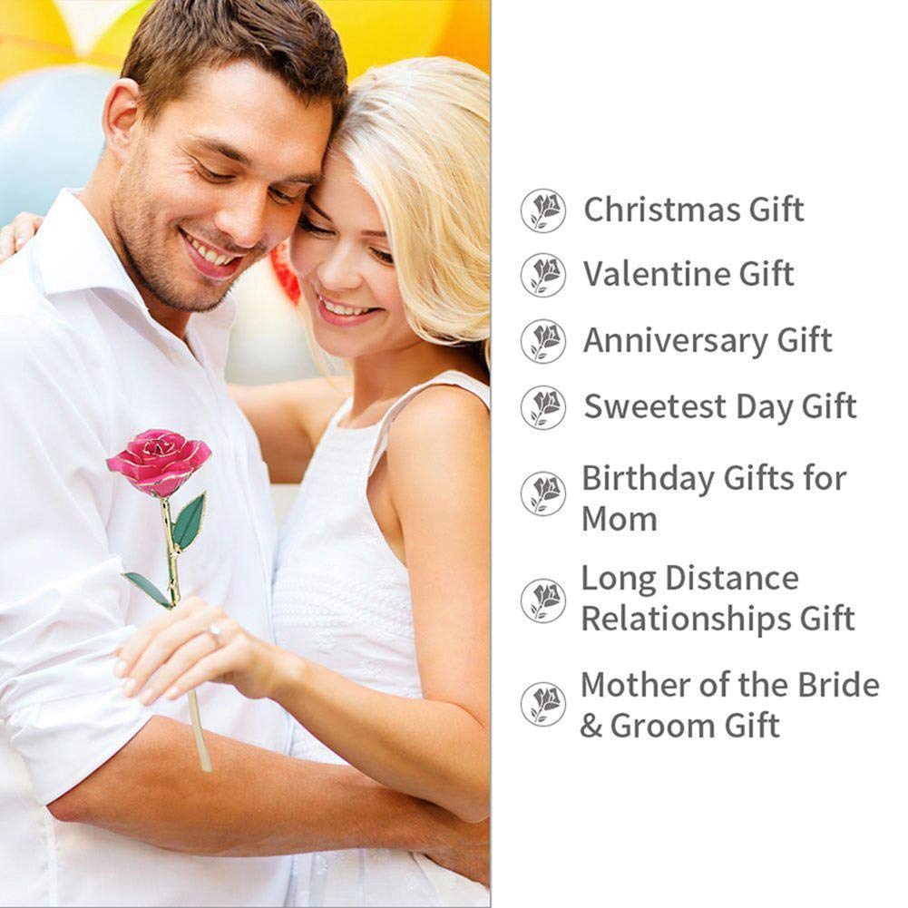 Rosa de oro de 24 quilates, flor única para siempre, tallo largo, rosa con soporte para cumpleaños, día de San Valentín, día de la madre, Navidad, vacaciones, boda