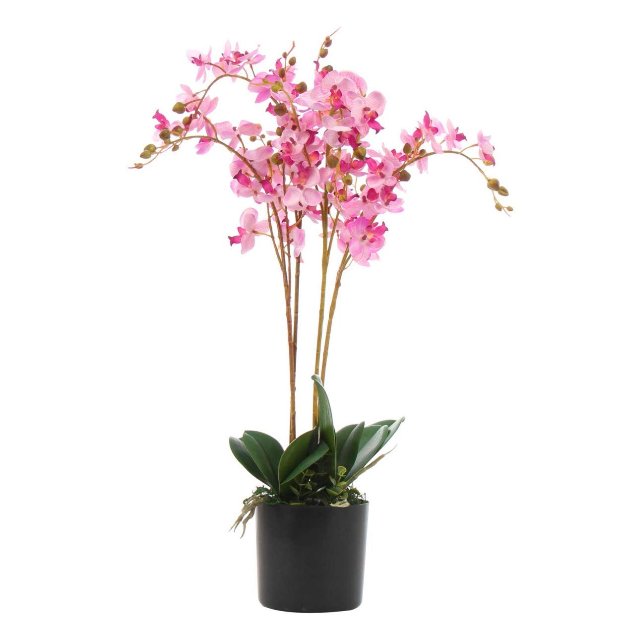Leaf Design UK Realistic Artificial Orchid Flower Display in Pot, 60cm, Pink