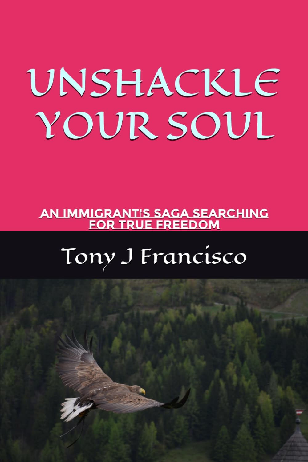 UNSHACKEL YOUR SOUL: An Immigrant's Saga Searching For True Freedom
