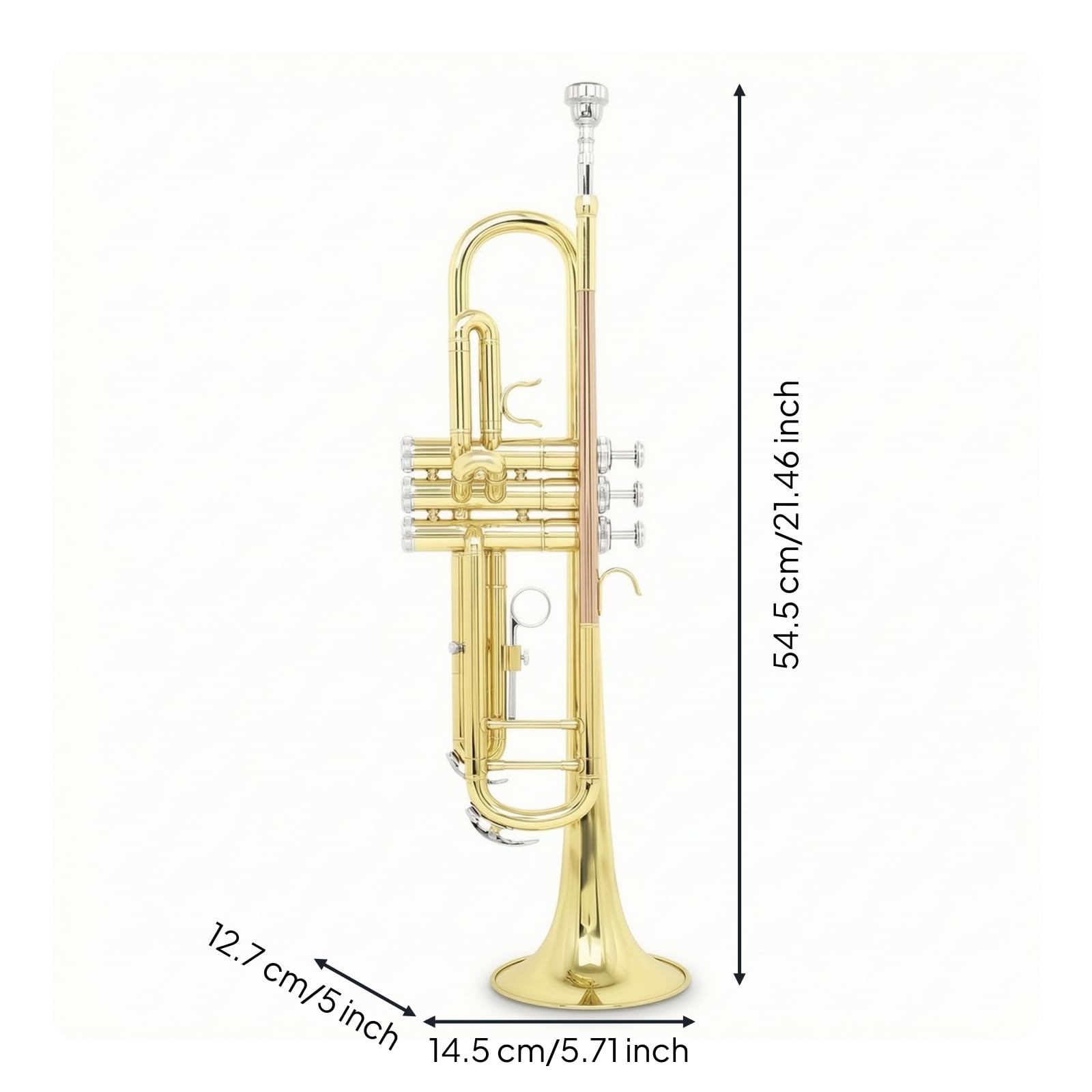 Trompete B Trompete Blechblasinstrument Ventiltrompete Musikinstrument mit Drei Leichtgängigen Ventilen Und Silbermundstück Klarer Resonanter Klang
