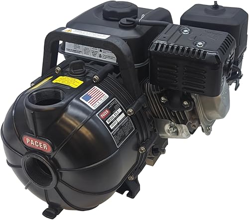 Pacer Bombas SE2PL E5.5 Bomba de transferencia de agua multiusos con entrada y salida de 2 pulgadas, 150 GPM