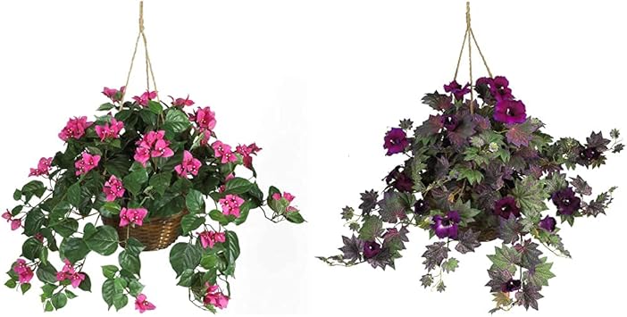 Bougainvillea Basket Silk Hanging Plant and Morning Glory Hanging Basket Silk Plant - Thumbnail 3