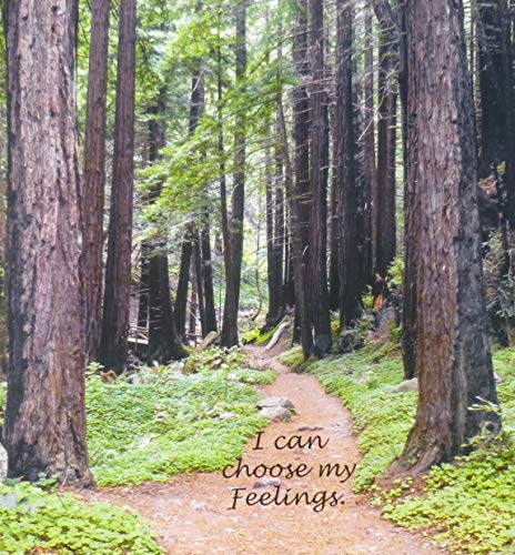 The Fork in the Path: Nine Mindful Choices to W... 0692035788 Book Cover