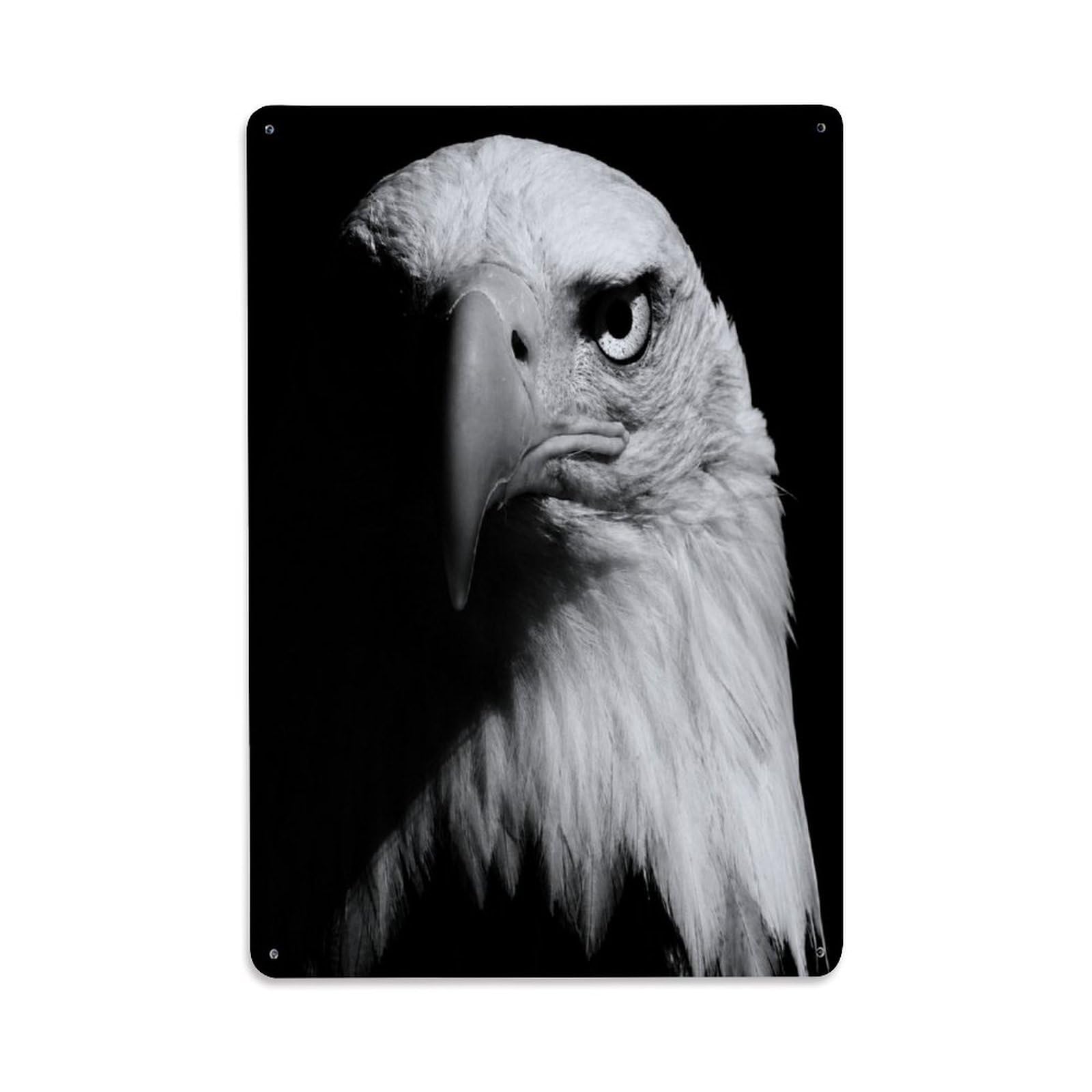 Bald Eagle Portrait Wildlife American National Bird Natural Metal Tin Sign Plaque Wall Decor for Cafe, Man Cave, Club Bar, Office, Home Garden Round Metal Poster 8x12Inch