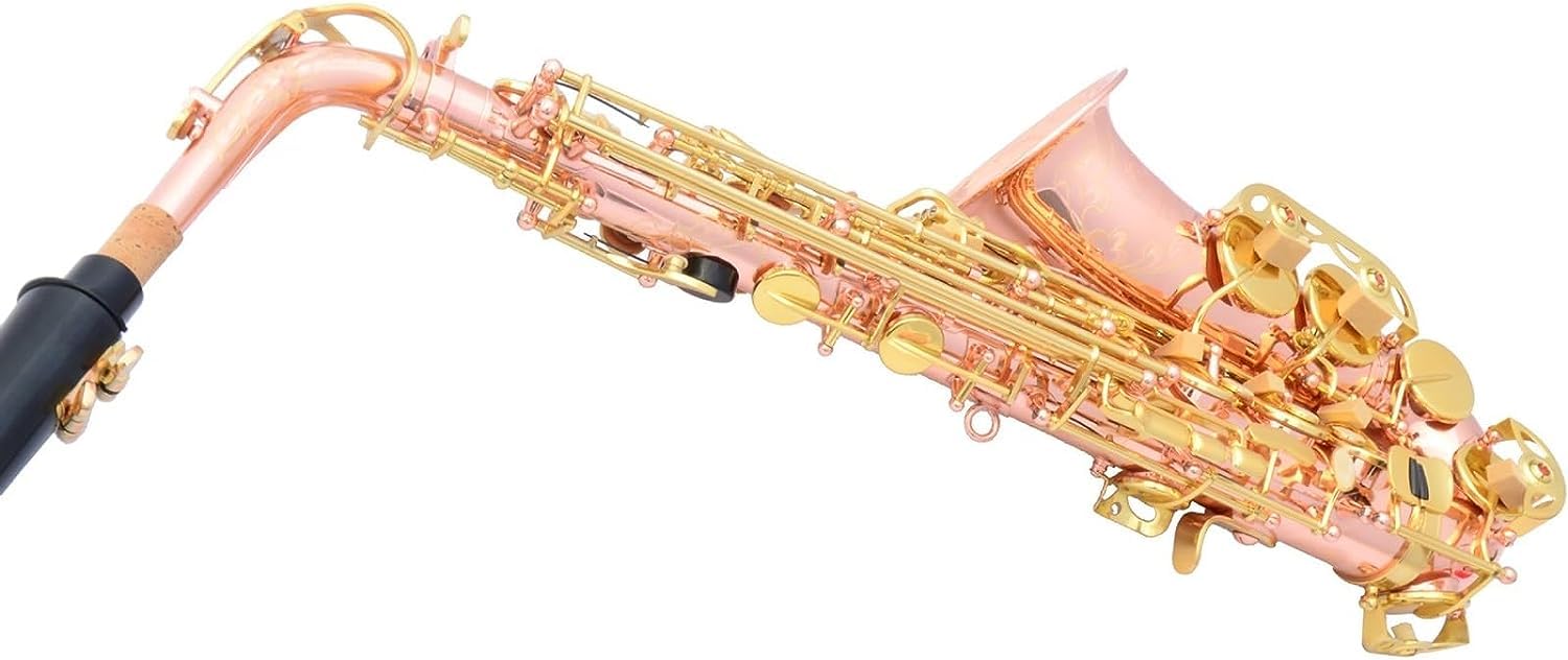 Kit de saxofón alto para principiantes, cuerpo profesional de bronce fósforo con teclas doradas, juego completo de instrumentos musicales para aprendizaje y actuación