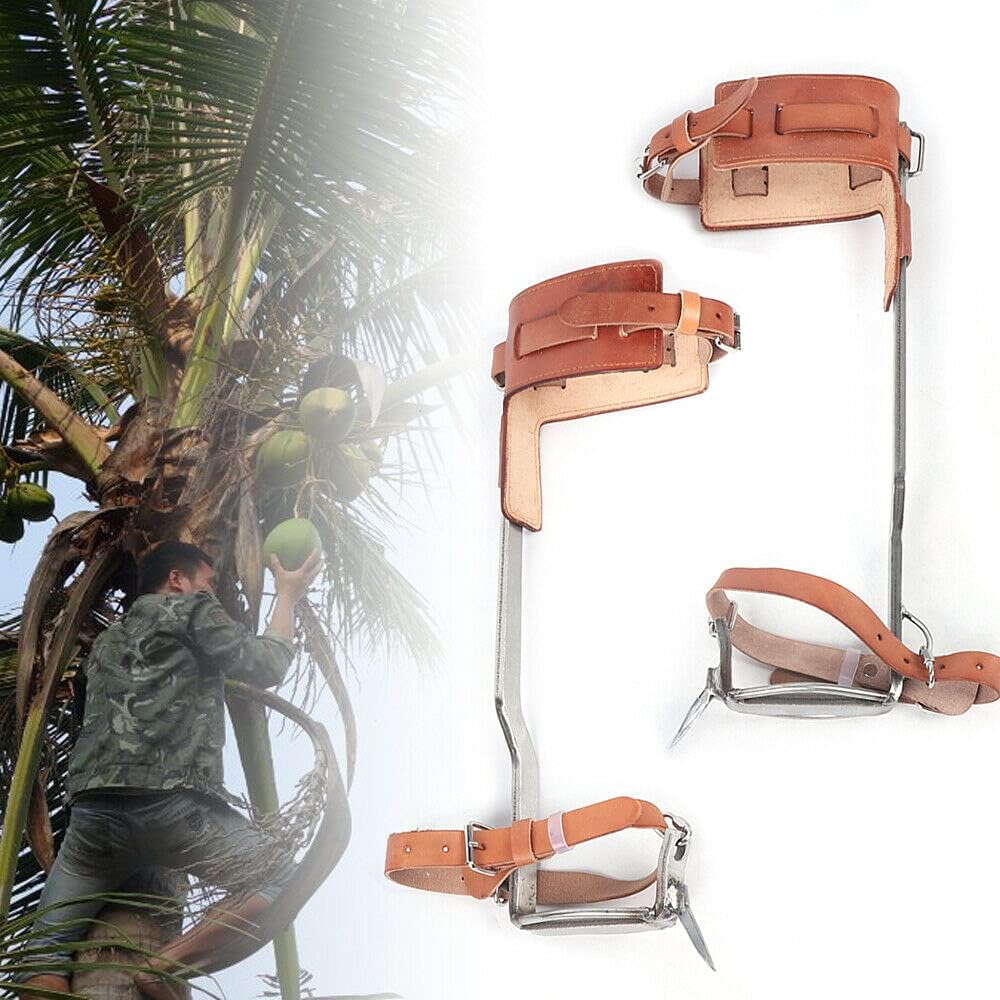 Buy Tree Climbing Spikes for Tree Work, Climbing Tree Spikes, Stainless ...