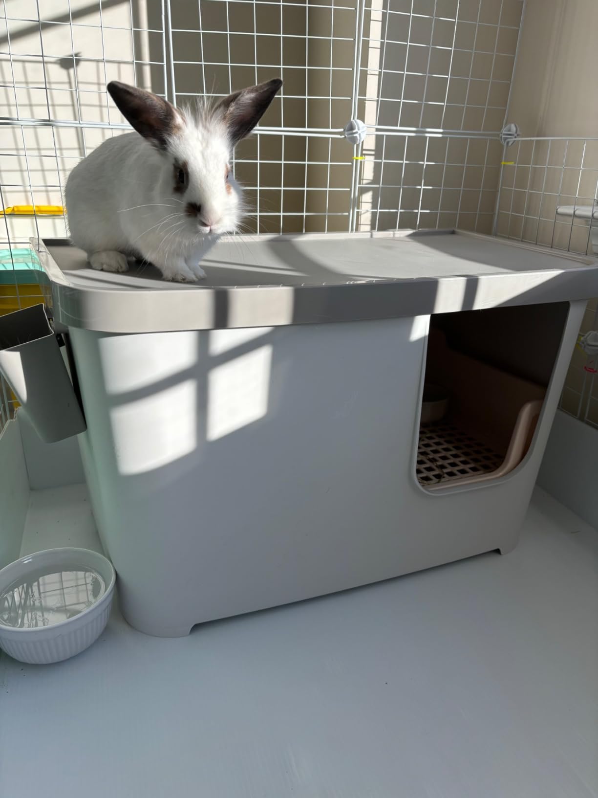 HoppScotch.bun Bumbox Deluxe Extra Large Rabbit Litter